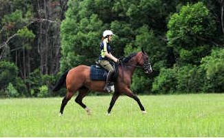 Taylor Shone takes Aspen for some exercise on the Bakker Drive Reserve. Part of the Reserve will be trialled for equestrian activities. Taylor Shone takes Aspen for some exercise on the Bakker Drive Reserve. Part of the Reserve will be trialled for equestrian activities.